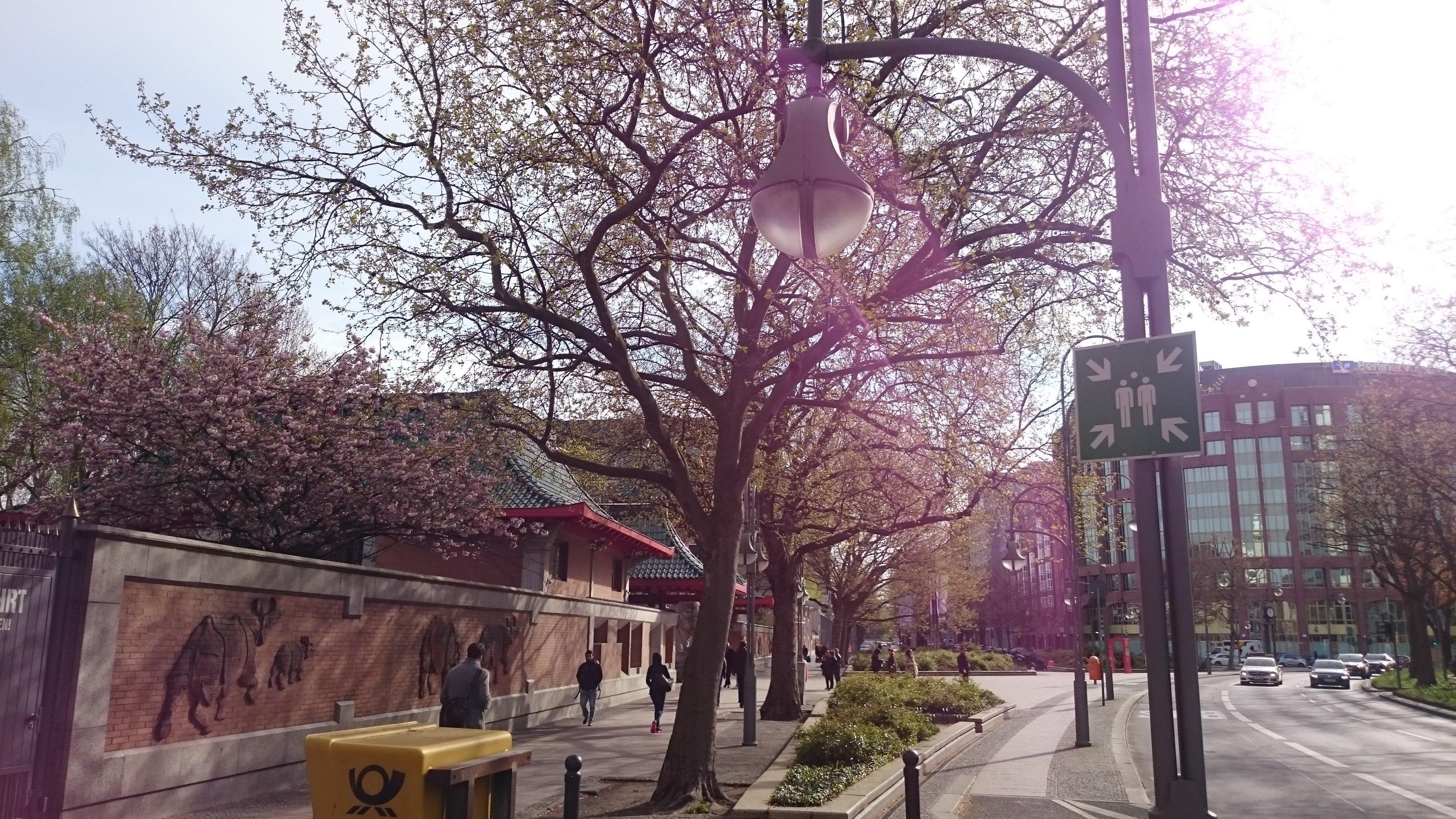 Crowne Plaza City Centre Ku'damm By Ihg Hotel 4*