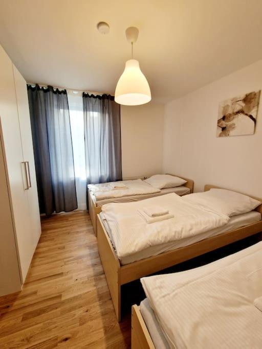 Apartment Cozy In The Center Of 23
