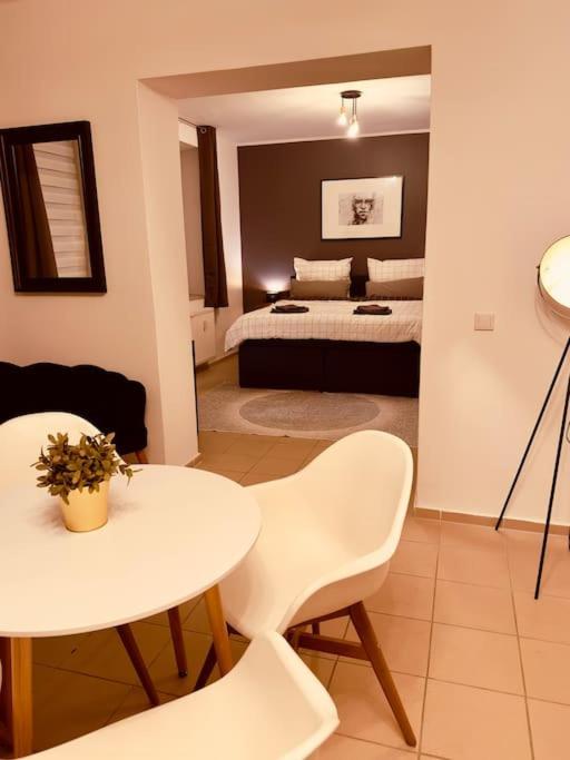 Loft With Gym - Kitchen / Wifi / Free Parking Apartment