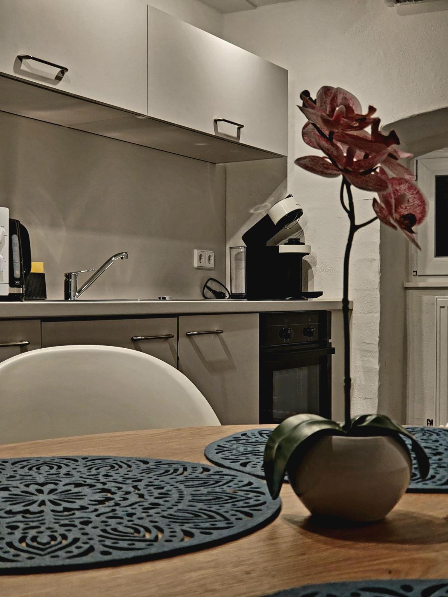 Kant 99 Xl Apartment *