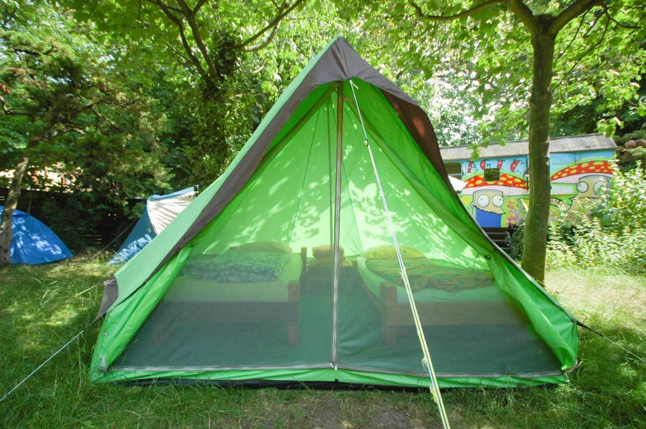 Sandino Summer Camp * Berlim