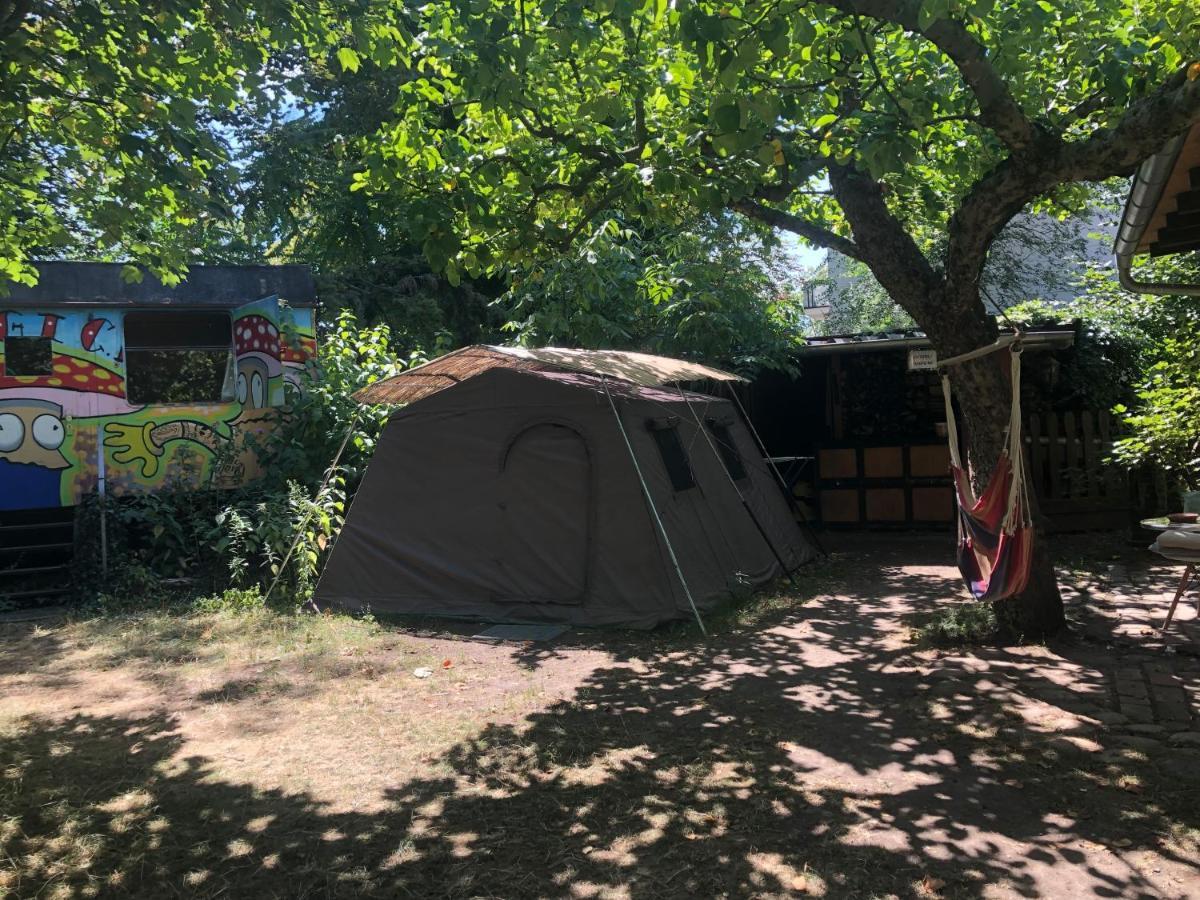 Sandino Summer Camp *
