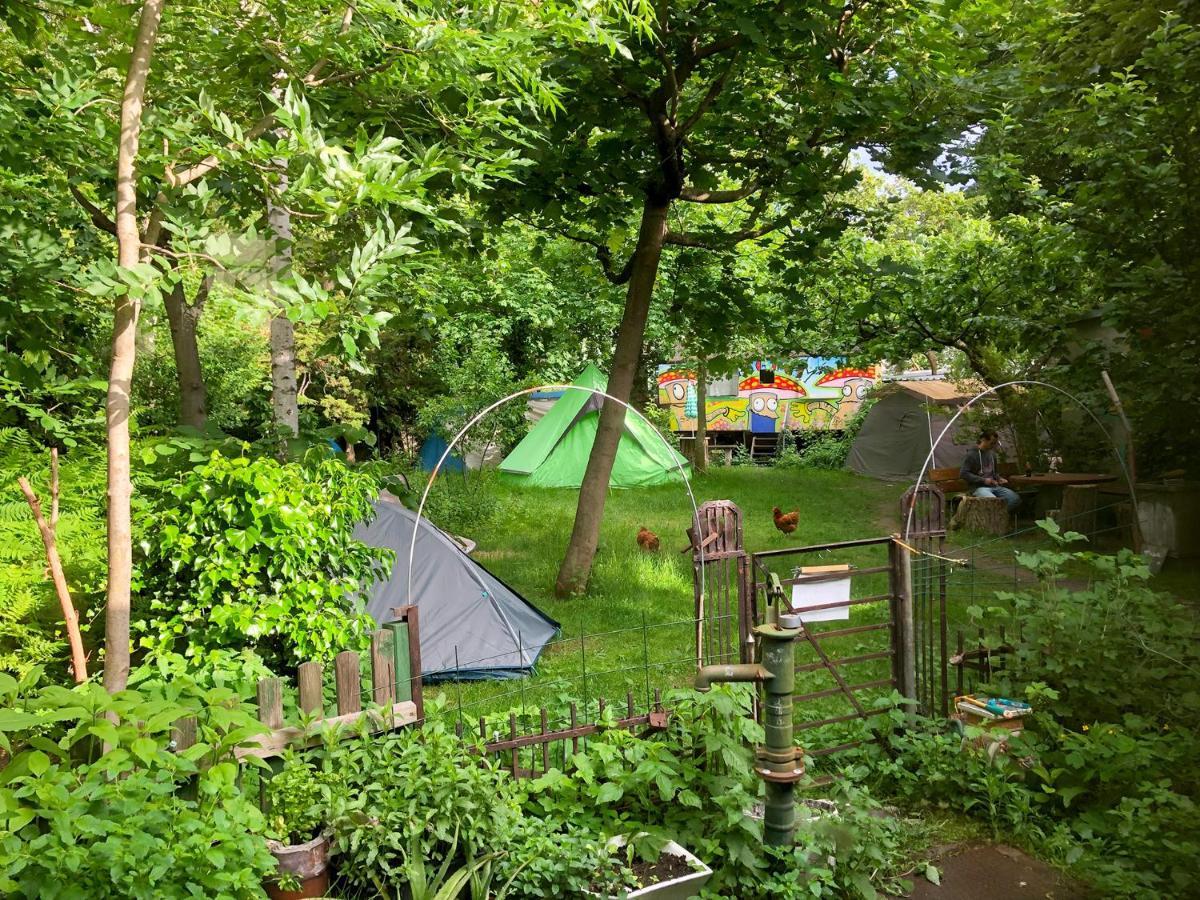 Sandino Summer Camp Albergue