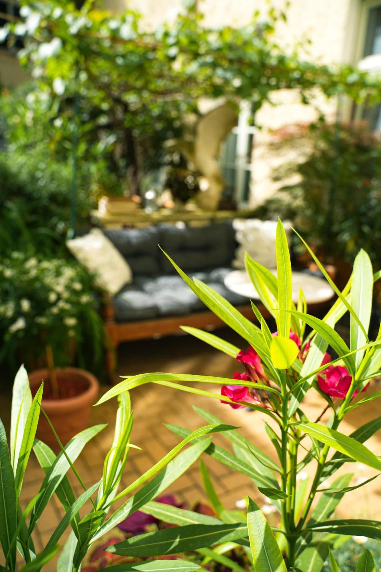 Honigmond Boutique Aparthotel