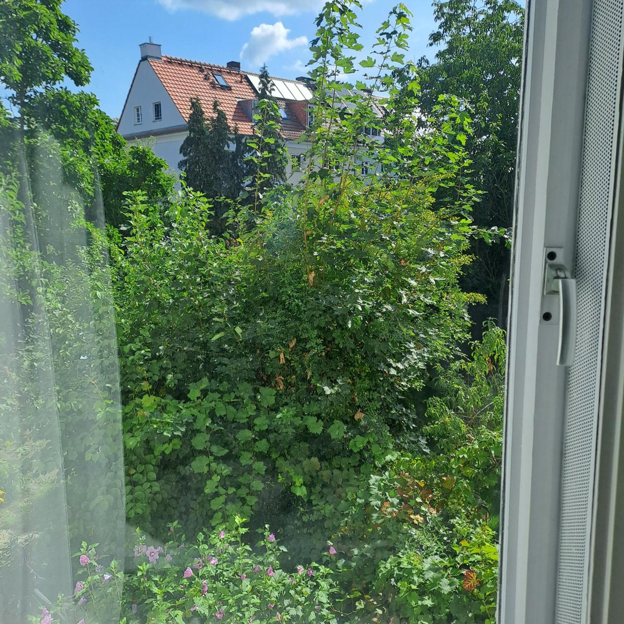 Homestay Spacious In Tempelhof Park Area