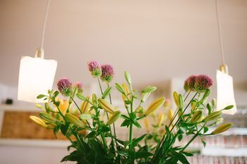 Hotel Essentis Ecohotel Berlin