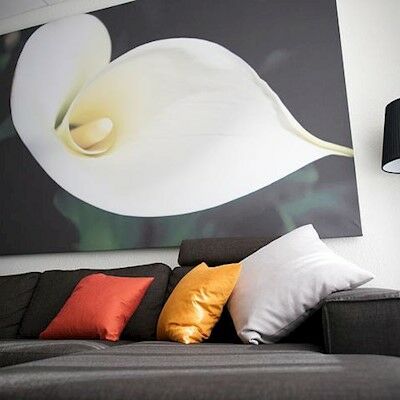 Good Morning City West Hotel Berlin