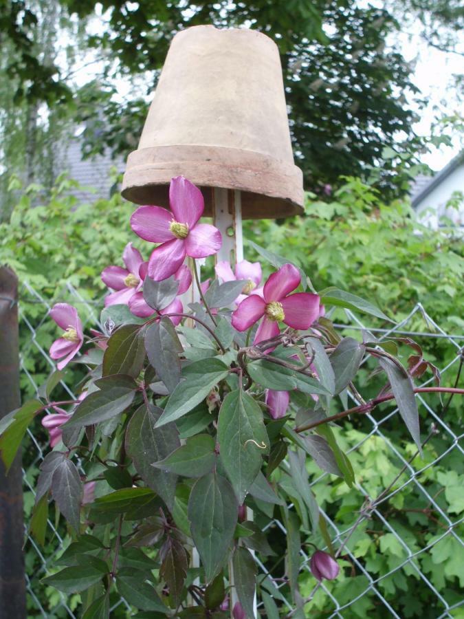 Ferienwohnung Mit Garten Hospedagem domiciliar