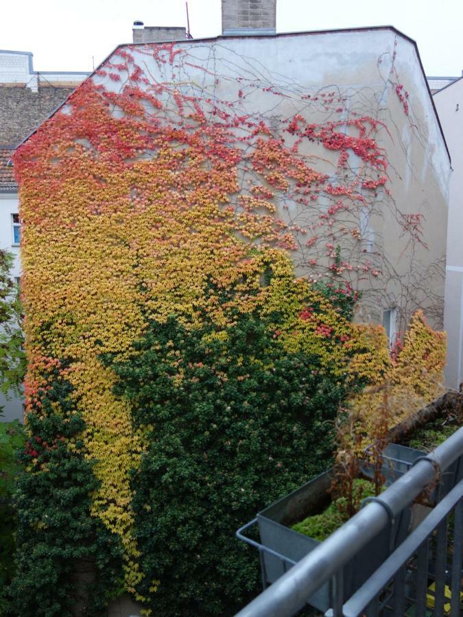 Private In Prenzlauerberg Homestay Berlin