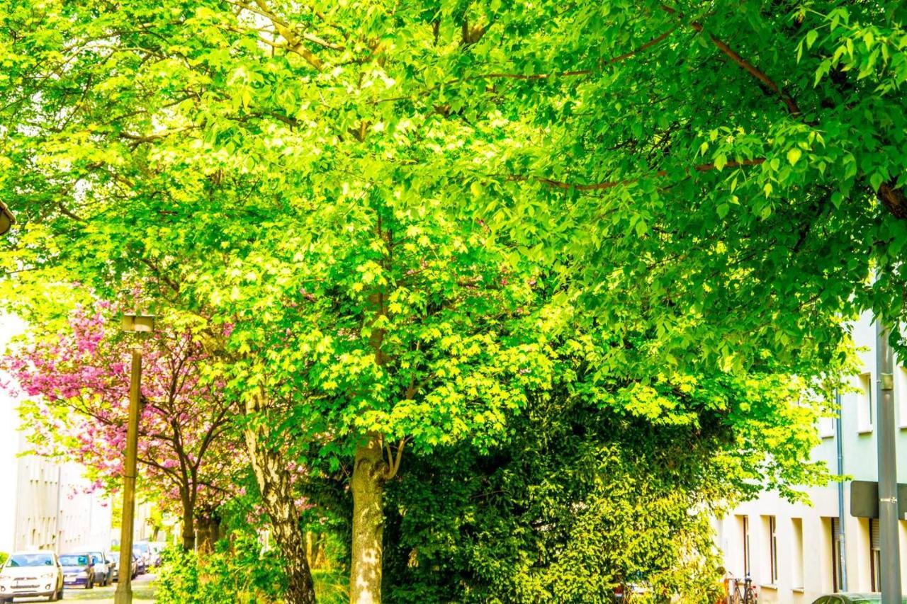 With 3 Bedroom +1.5 Bthrm +a/c In Prenzlauer Berg Holiday home Berlin