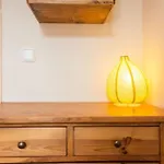 Zentrale Altbauwohnung Im Helmholtzkiez