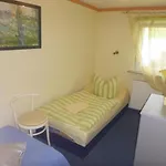 Berlin Urlaub Im Gruenen