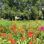 Ueber Den Daechern Von Berlin