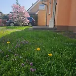 Cozy House And Free Parking