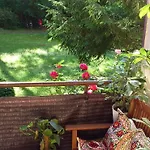 Green Oasis