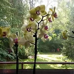 Green Oasis