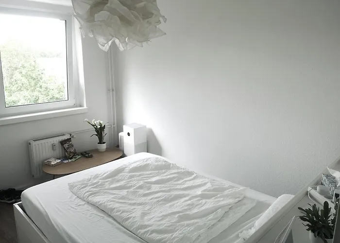 Female Dormitory With Vegan Breakfast