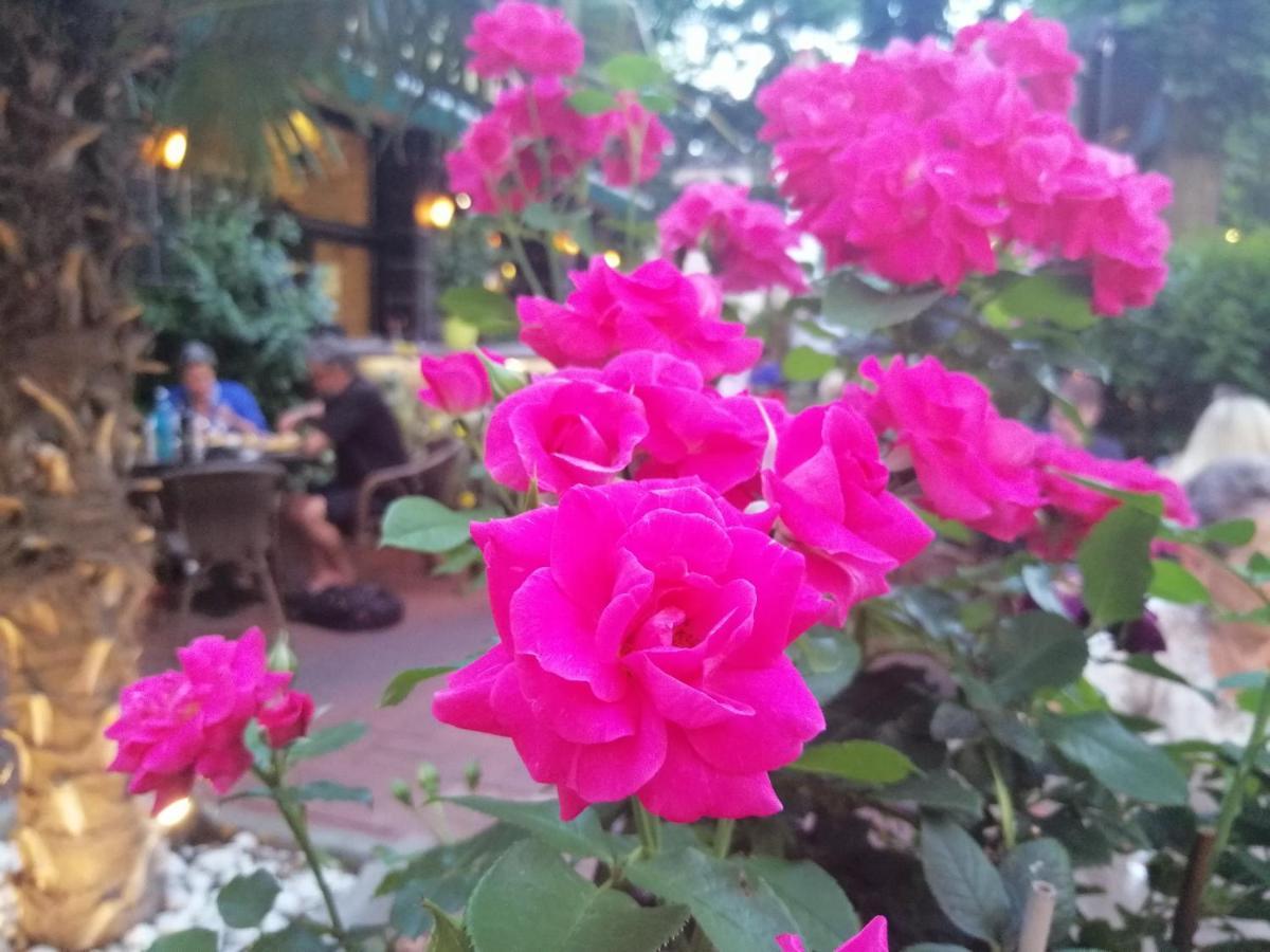 Der Kretaner Guest house *
