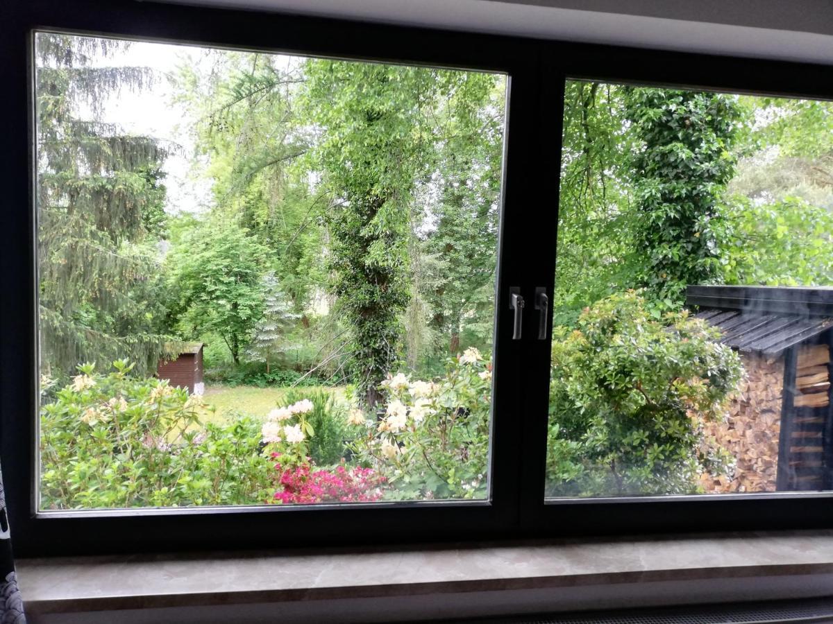 Apartment Frohnau Berlin