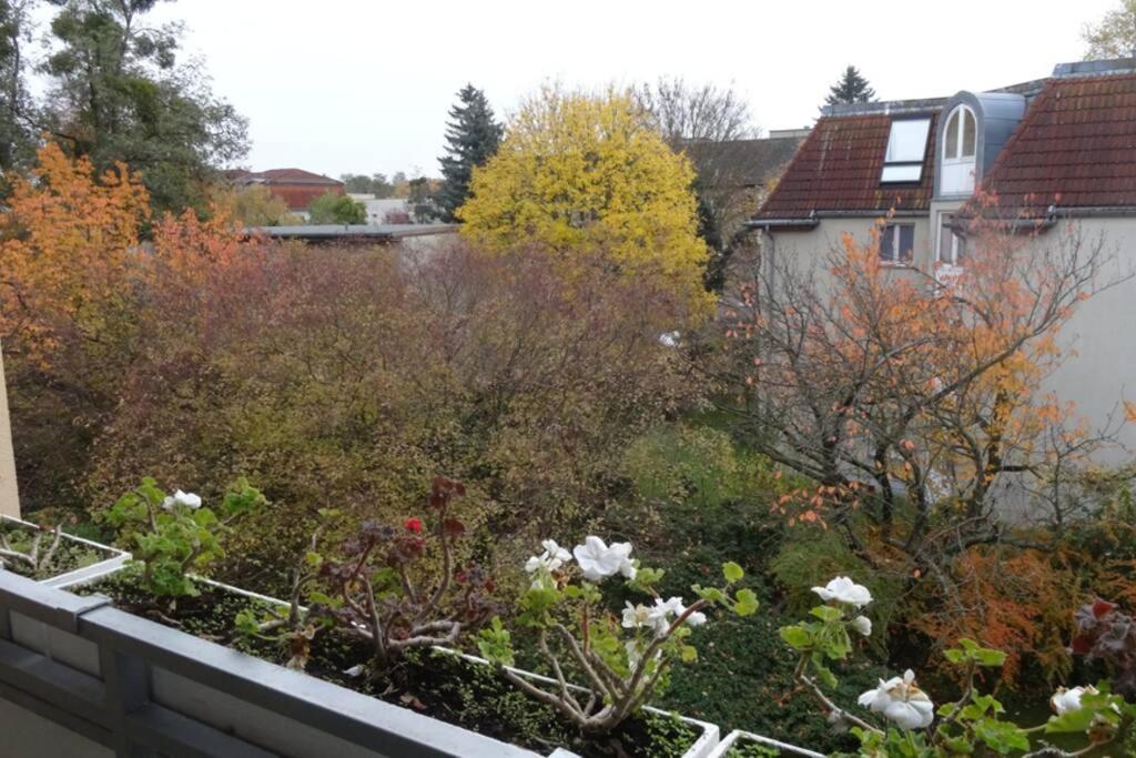 Apartment Schöne, Ruhige In Berlin-steglitz *