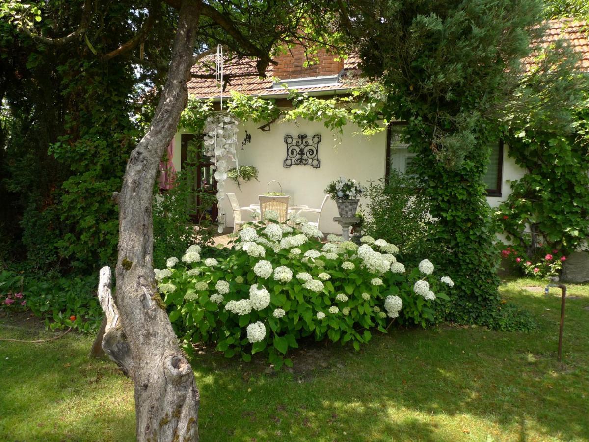 Gemuetliches Gaestehaus Bohnsdorf, Naehe Flughafen Schoenefeld Casa de férias