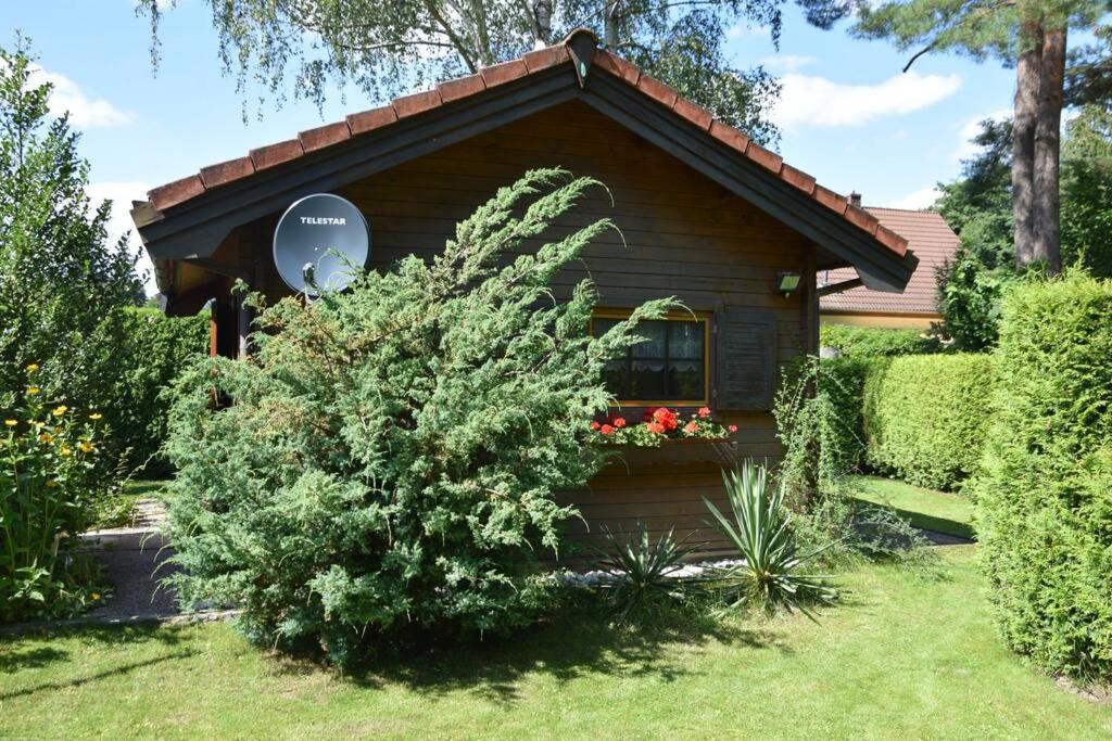 Gemuetliches Blockhaus, Waldblick, Naehe Ber/sxf Casa de férias