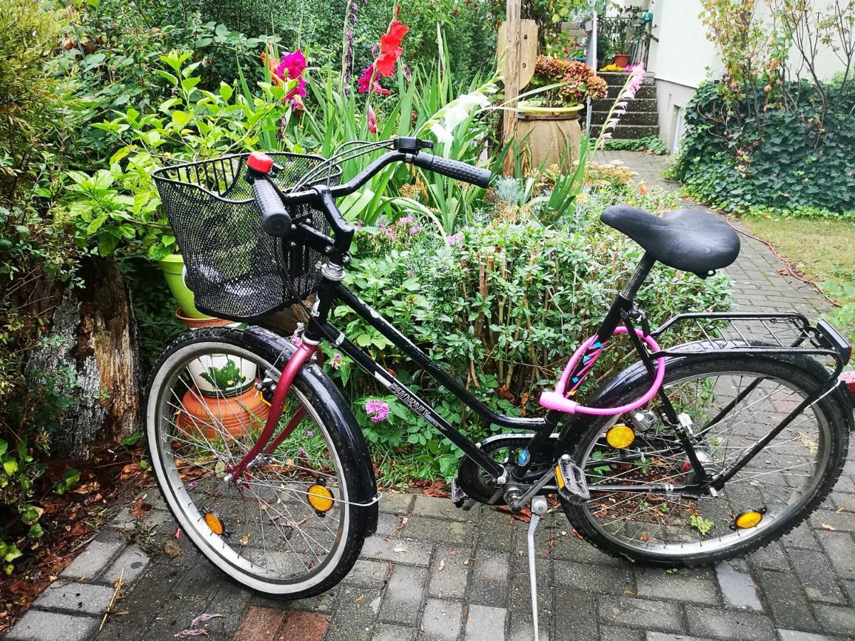 Zum Saegebock Homestay