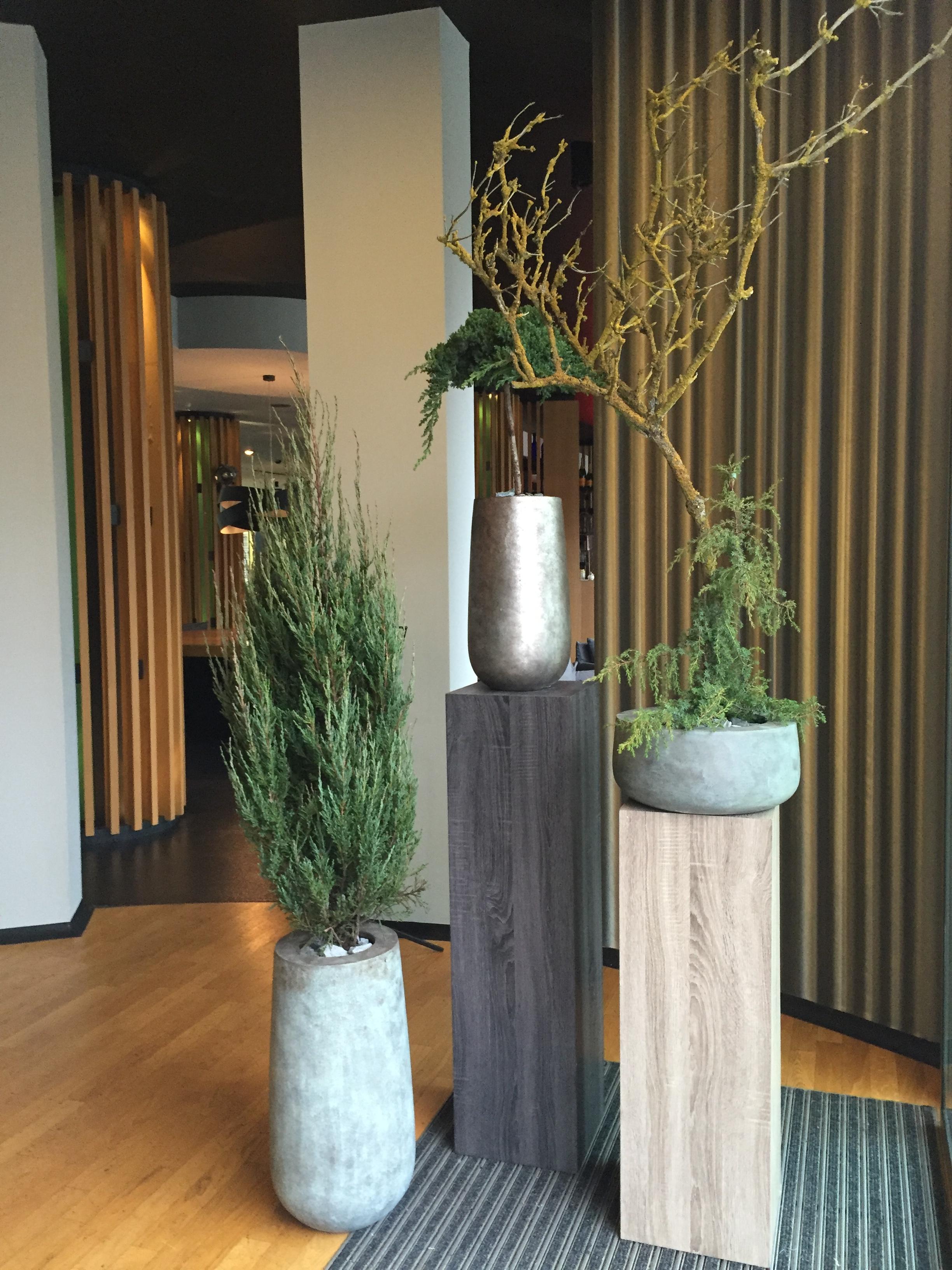 Axel - Adults Only Hotel Berlin