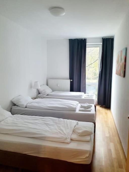 Apartament With Terrace In Mitte 2011 *