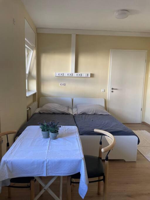 Apartment Einzimmerwohnung + Dusche Und Wc *