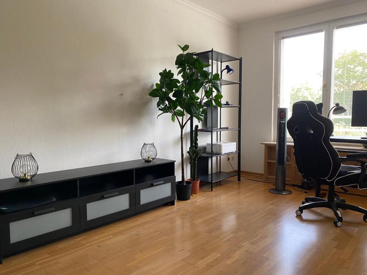 Modern Studio In With Garden Near Sea Berlin