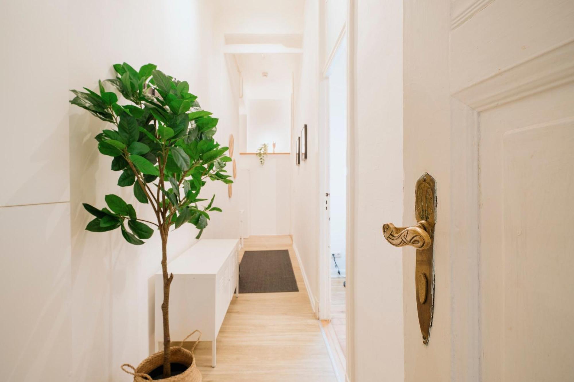 Homely - Luxurious, Spacious, Near Victory Column, River *