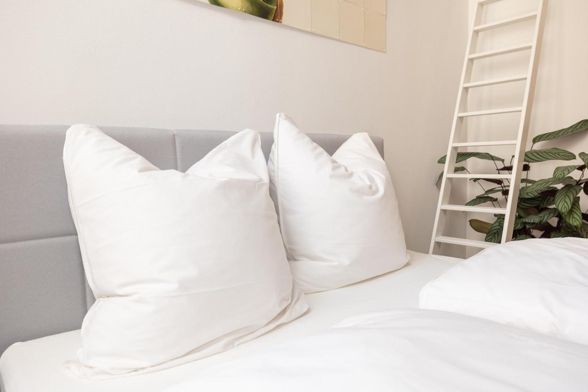 Great 2-room Loft With 2 Bathrooms And 2 Kitchen Apartamento *