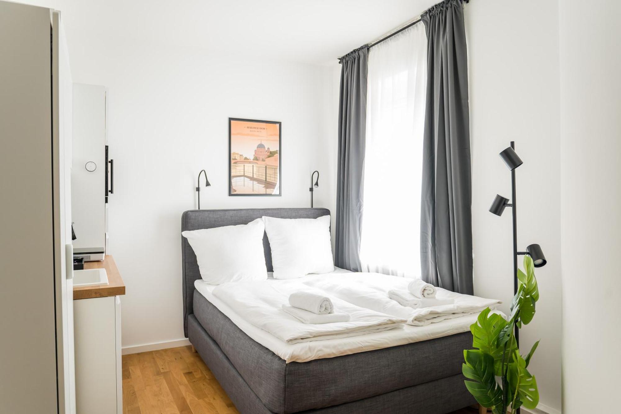 Homaris Schlueterstrasse