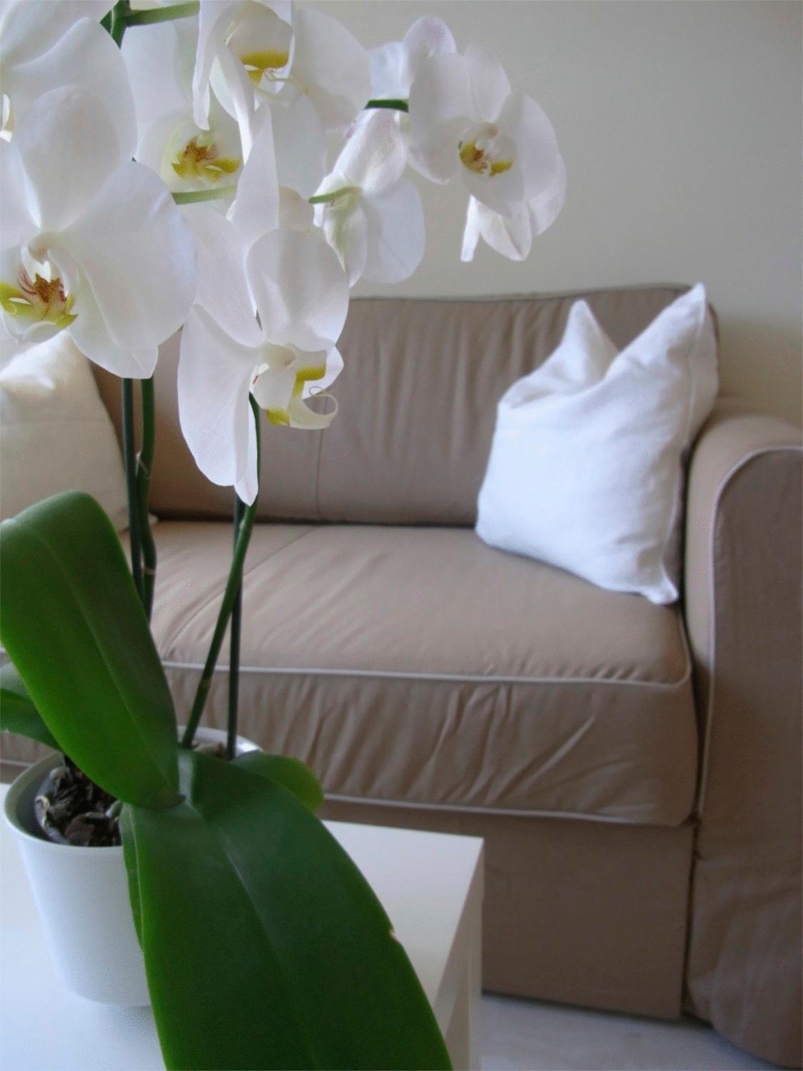 City Lodging Apartments