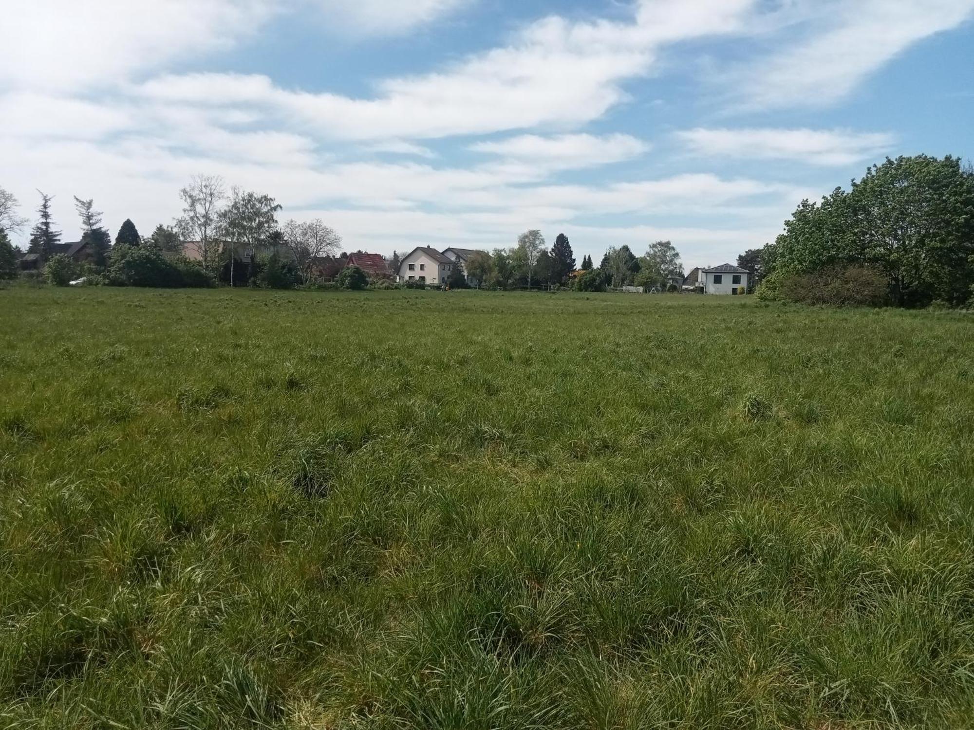 Stadtgruen 2