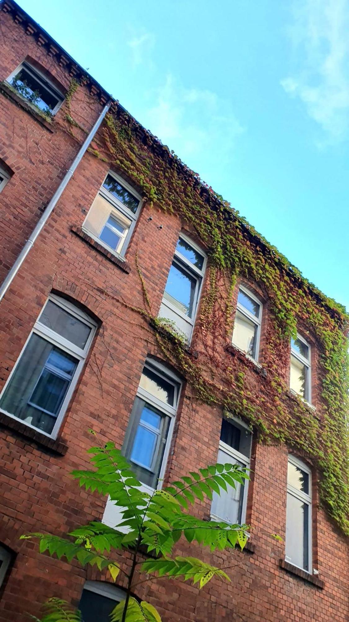 Freiraum Kreuzberg Hostel *