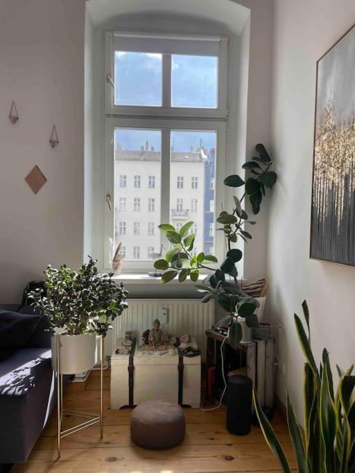 Spirit & Style - Grosszuegige Prenzlauer Berg Lage
