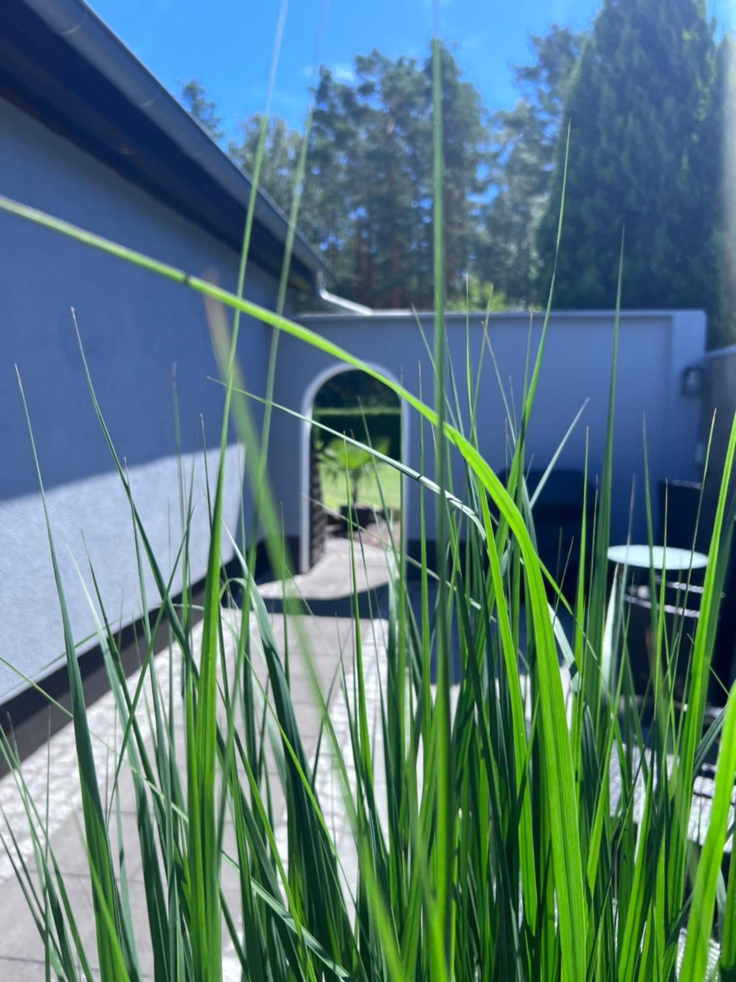 Apartment Zwischen Wald Und Wasser Mit Grossem Wasserbett & E-kamin Berlin