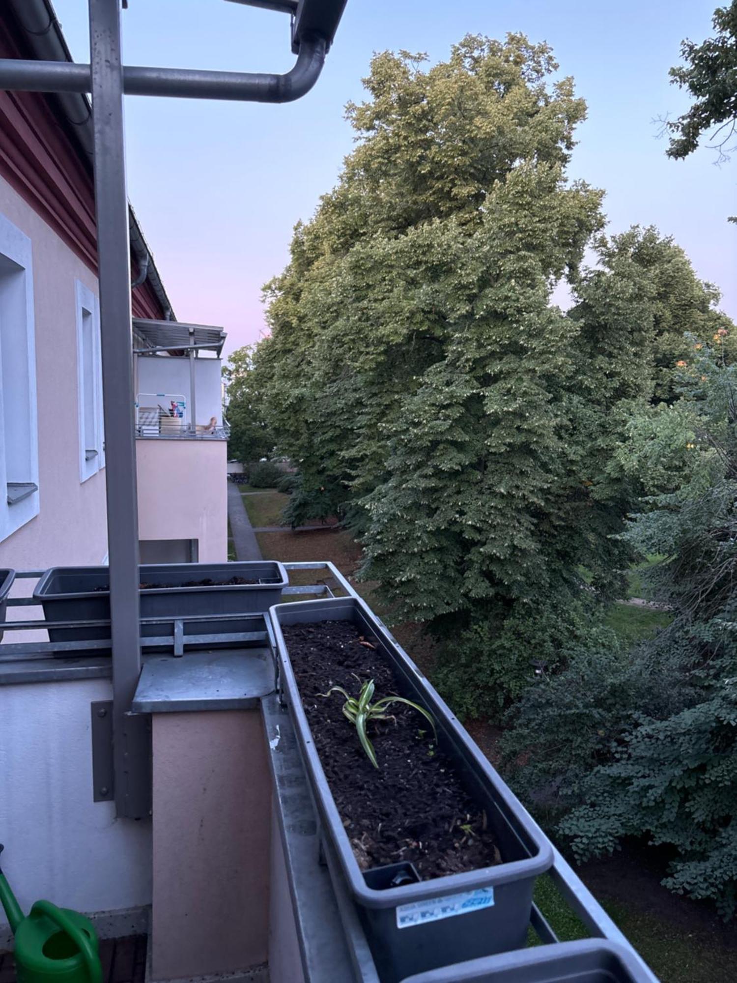 Apartment Furnished Well Equipped 2 In Wedding *