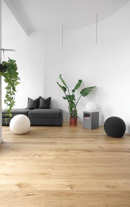 Apartment Spacious In Kreuzberg *