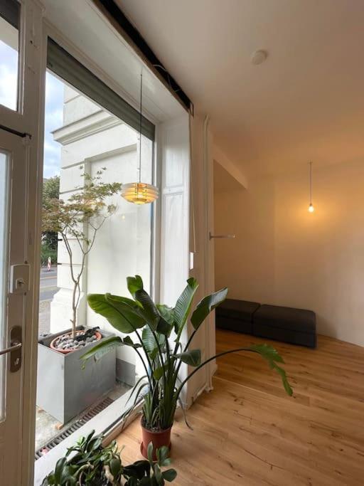Spacious In Kreuzberg * Berlin