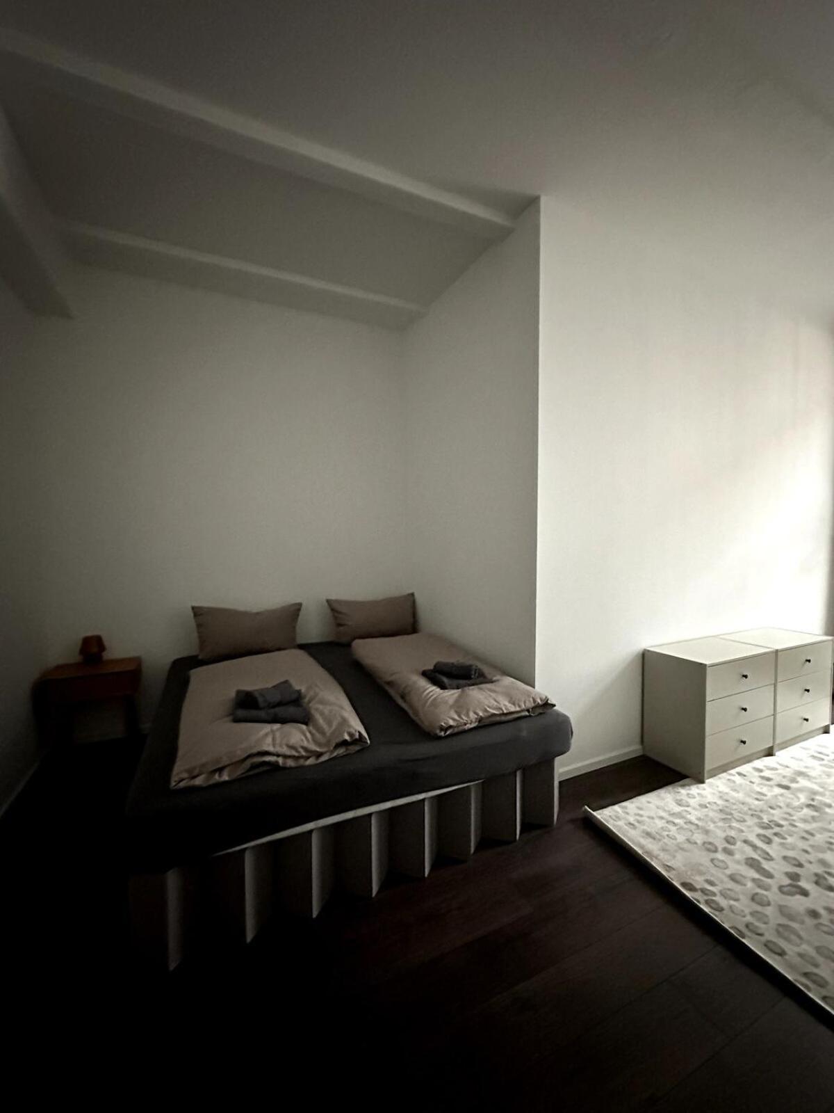 Elegant Gray In Vibrant Area 2