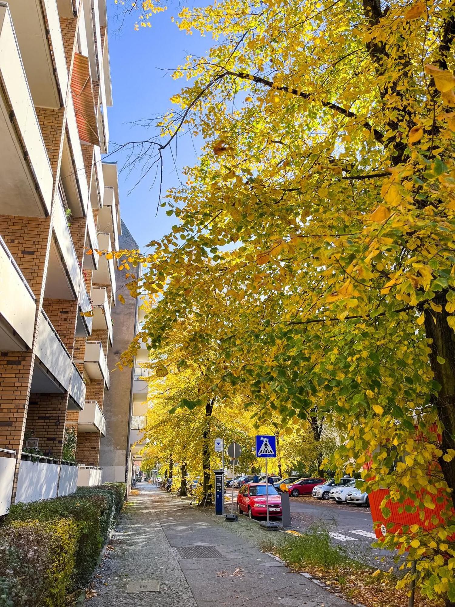 Apartment 01 Bedroom In Mitte-Up To 5 People-Private Free Parking *