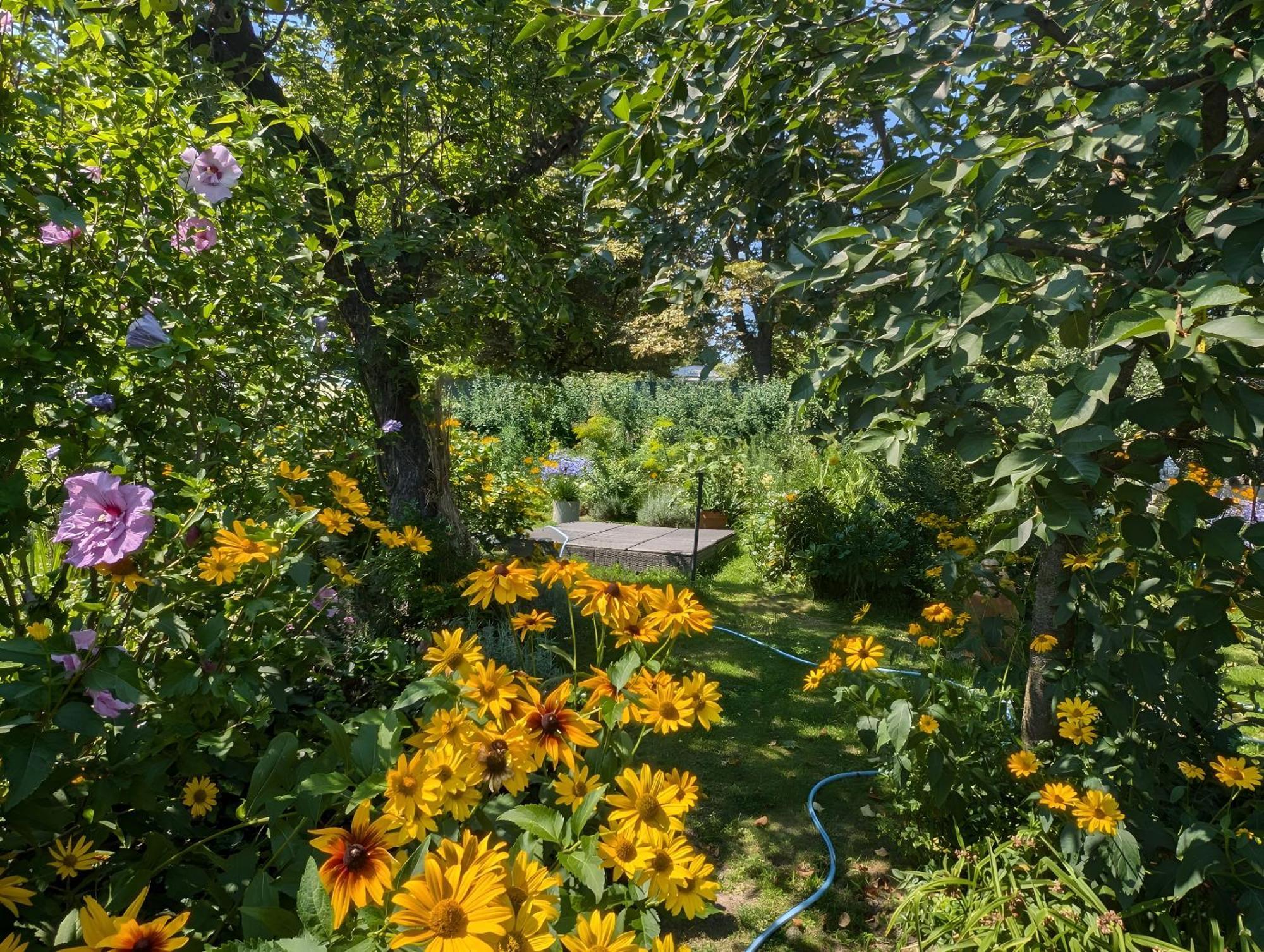 Im Idyllischen Garten Berlim