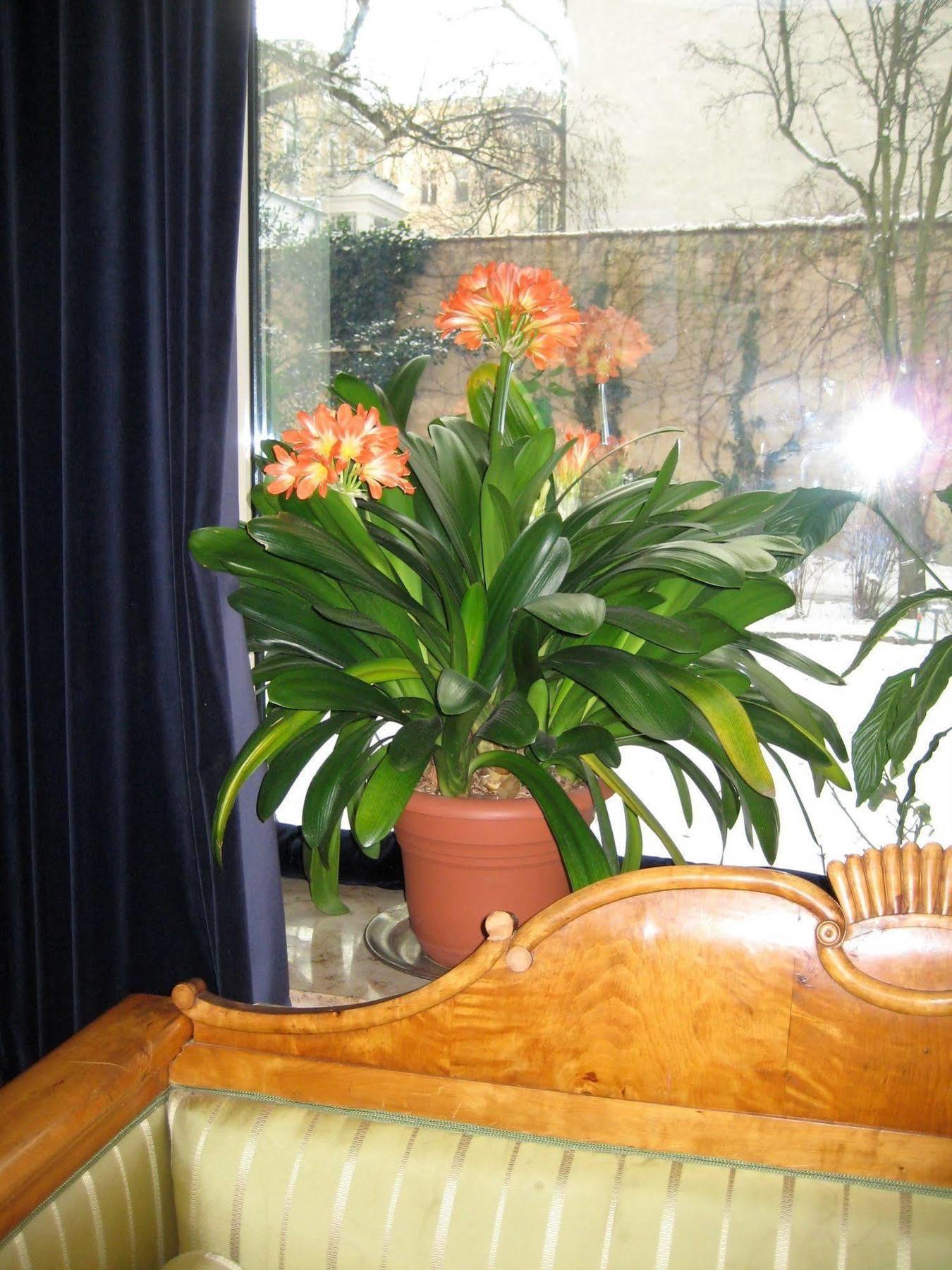 Hotel Literaturhotel Berlin