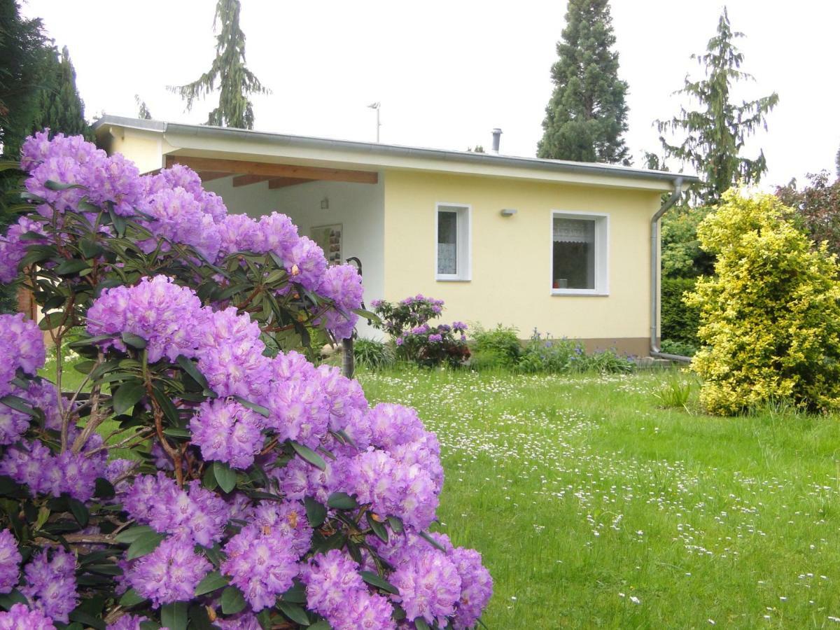 Holiday home Sommerhaus Im Gruenen *