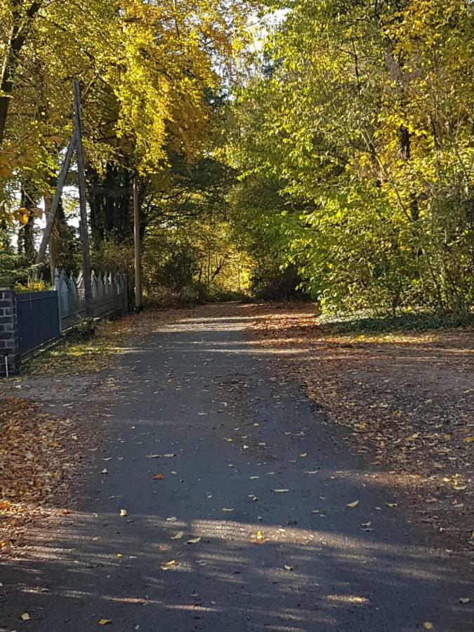 Am Krossinsee