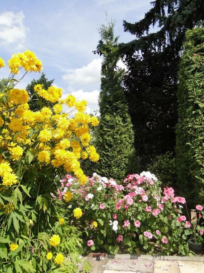Sommerhaus Im Gruenen * Berlin