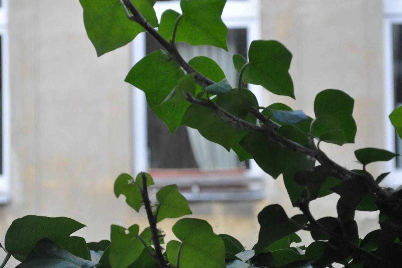 Freiraum Kreuzberg Hostel *